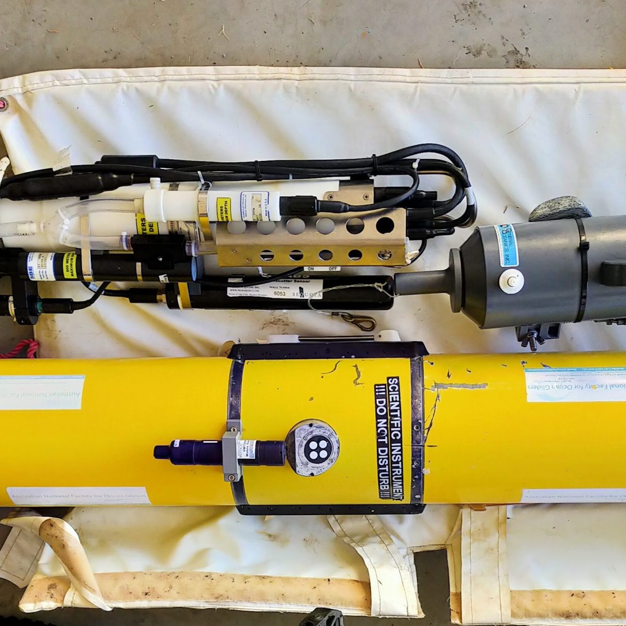 IMG20200412072241-2-1230×1230